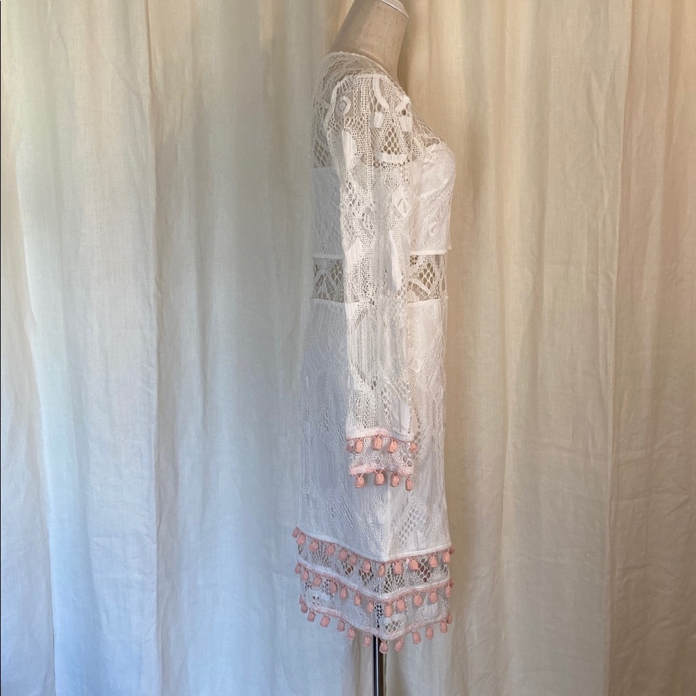 Venus Lace Dress - Picture 3 of 8